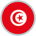 Escudo Túnez