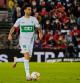 pastore elche