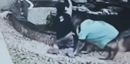 Un perro muestra sus habilidades de protección