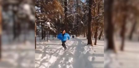 Terrible susto: Un oso sale corriendo detrás de una persona y todo queda grabado