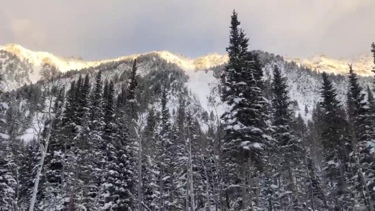 La familia de un esquiador fallecido por una avalancha en Oregon pide 14.5 millones por negligencia