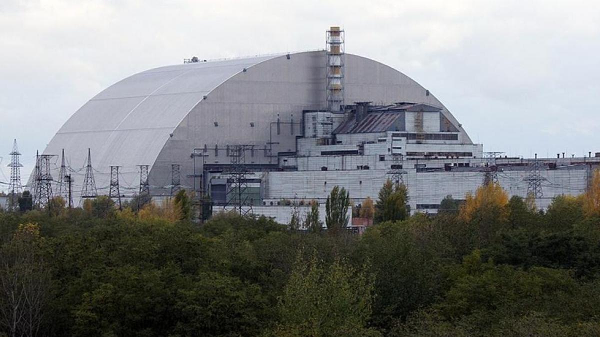 Chernóbil, de la catástrofe a la posible solución para los viajes especiales: descubren unos hongos negros capaces de proteger contra la radiación