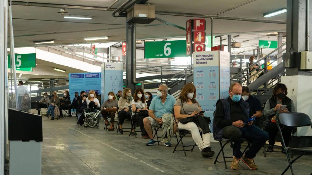 La OMS alerta que habrá 700.000 muertes por coronavirus hasta el 1 de marzo