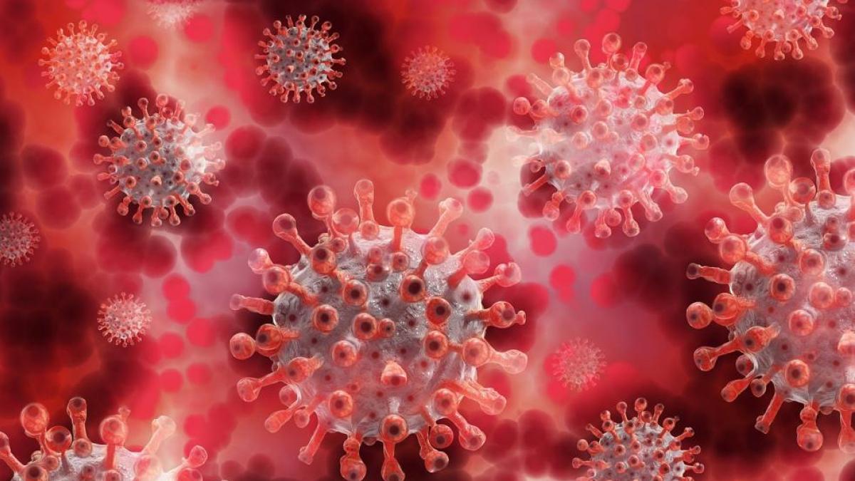 Una nueva variante del coronavirus detectada en Sudáfrica preocupa a los expertos