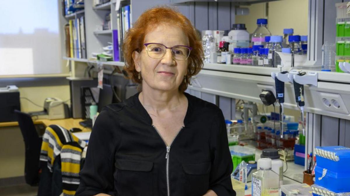 La advertencia de Margarita del Val sobre qué podría pasar en las próximas semanas con el coronavirus