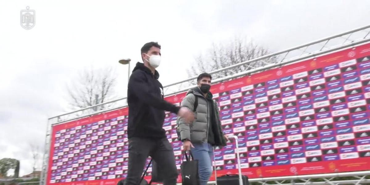 La Roja ya está concentrada en Las Rozas