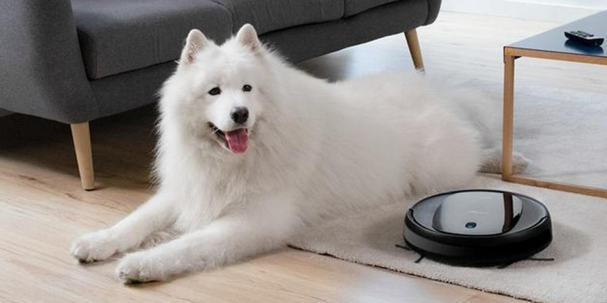 ¡El Black Friday ya ha llegado a Cecotec! Consigue este robot aspirador con un 60% de descuento