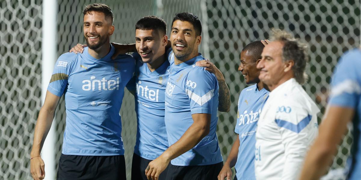 El reto del Profe Ortega