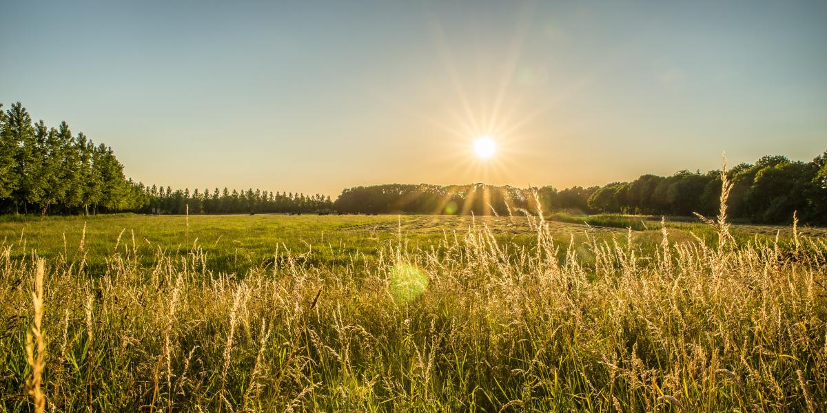 ¡Cuidado! El aire del campo no es tan puro como te crees