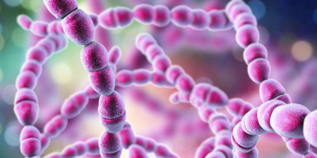 Aumentan a 15 las muertes de menores por estreptococo A en el Reino Unido