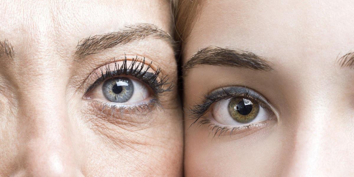 Los principales factores que aceleran el envejecimiento, según la Universidad de Harvard