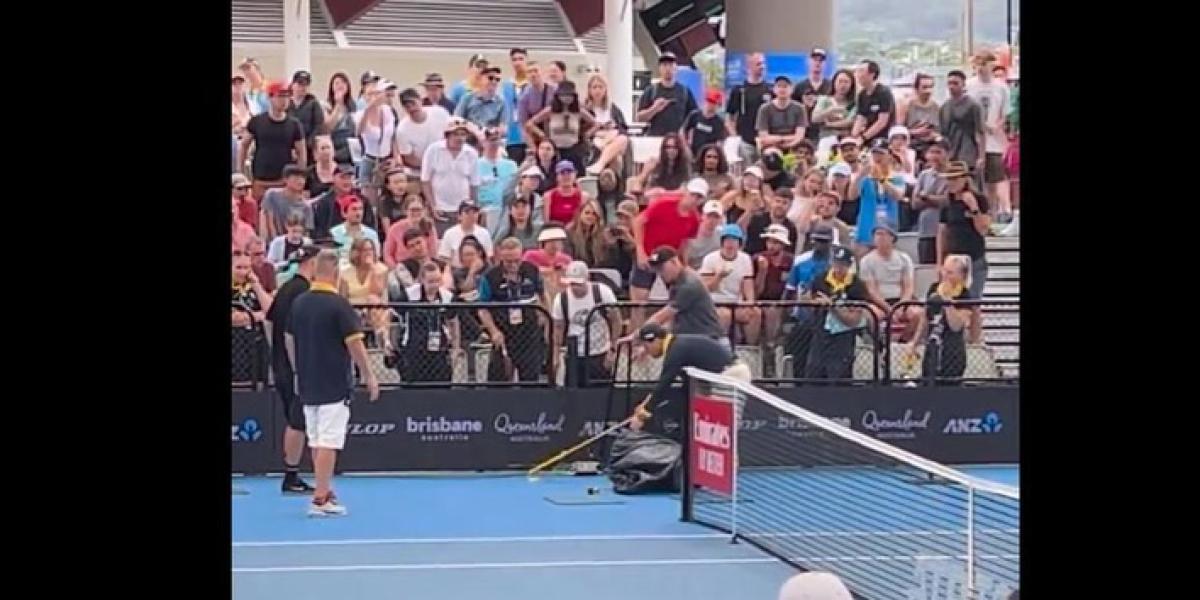 Brisbane y los animales peligrosos de las antípodas: una serpiente venenosa se cuela en el torneo australiano