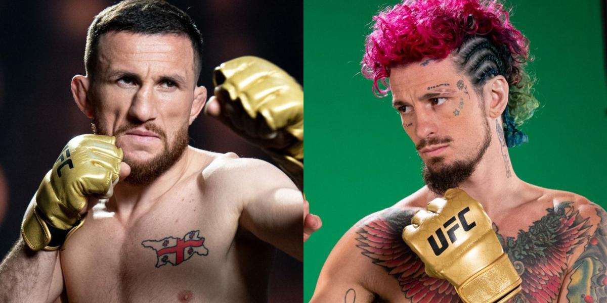 OMalley o Dvalishvili: las estrellas de la UFC se mojan sobre el ganador del UFC 306