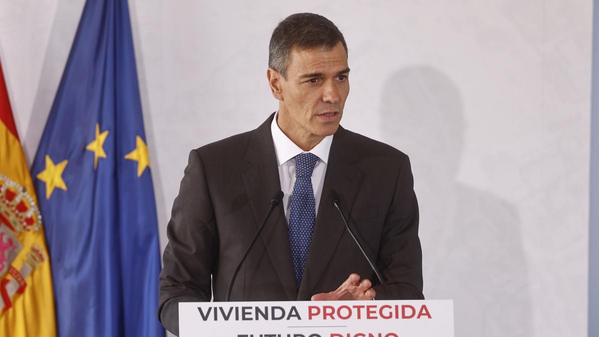 David Gómez, consultor: Este Gobierno lleva años legislando contra las grandes multinacionales sin entender que a los únicos que nos afecta es a los pequeños emprendedores