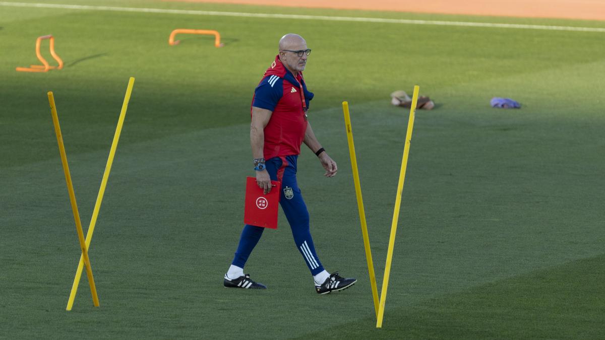 Seis refuerzos de la Sub-21 a las órdenes de De la Fuente