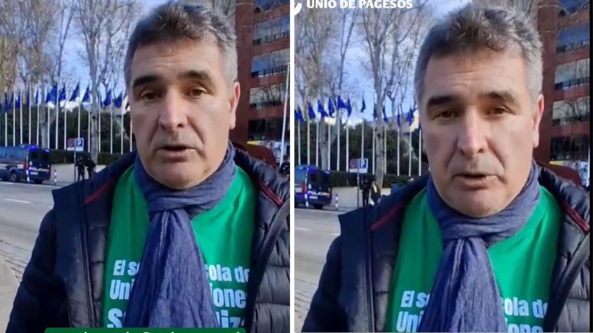 Josep Maria Claria, apicultor: Por culpa de la avispa asiática nos podríamos quedar sin abejas, sin miel, esa que hacemos tan bien, sin apicultores y, lo que es muy grave, sin biodiversidad