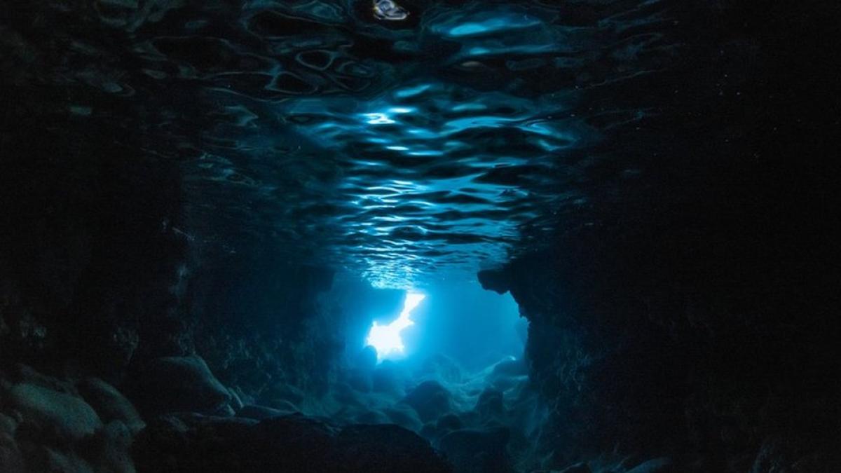 Los científicos se quedan atónitos: un estudio revela que los océanos se están oscureciendo