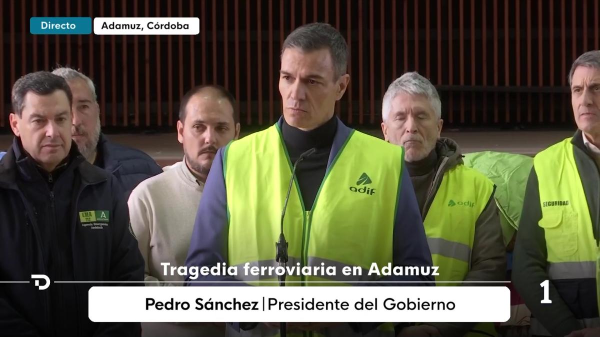 Primeras declaraciones de Pedro Sánchez desde Adamuz (Córdoba): Hoy es un día de dolor para toda España. Nos preguntamos qué ha sucedido, el tiempo y el trabajo de los técnicos nos darán la respuesta