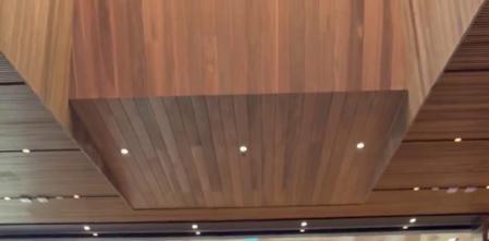 -Jugadores de Baltimore Ravens piden ayuda a Michael Phelps para aprender a nadar